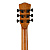 ROCKDALE Aurora D7 NAT Satin