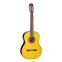 TAKAMINE GC5 NAT