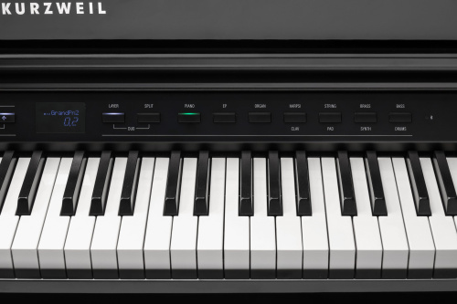 Kurzweil CUP G1W BP фото 5