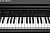 Kurzweil CUP G1W BP