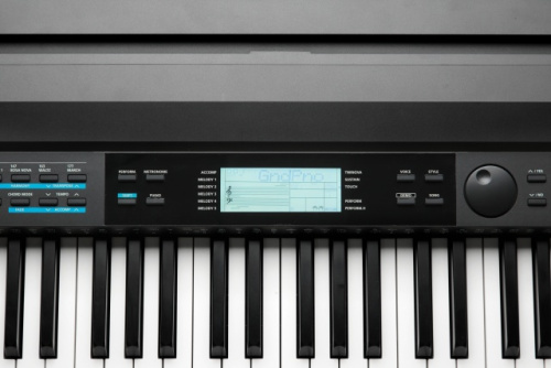 Kurzweil KA120 фото 4