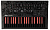 Korg Minilogue Bass