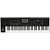 KORG Pa4X-76