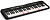 Casio LK-S250