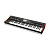 Behringer Deepmind 12