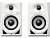 Pioneer DM-40-W