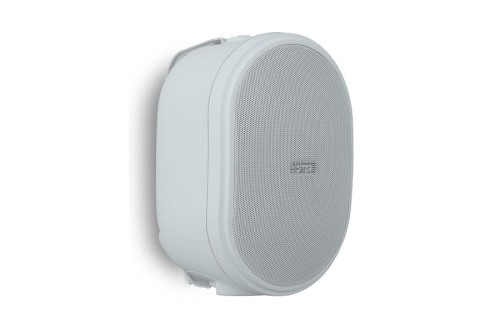 Biamp OVO5T-W