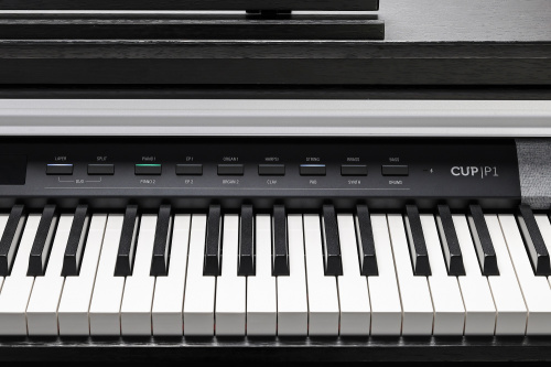 Kurzweil CUP P1 SR фото 4