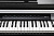Kurzweil CUP P1 SR