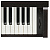 Kawai CN29B