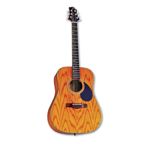 Greg Bennett D4/N