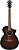 IBANEZ AEWC11-DVS