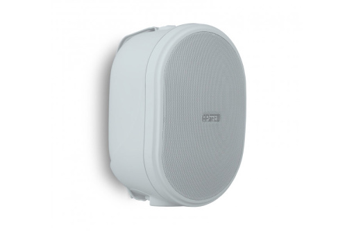 Biamp OVO8P-W