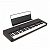 Casio CT-S1 BK