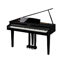 Kawai DG30 EP