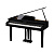 Kawai DG30 EP