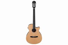 Ibanez AEG7TN-NT