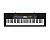 Casio CTK-2500