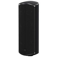 Turbosound IMPACT TCI53-T
