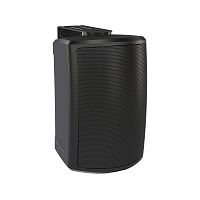 Tannoy AMS 5DC