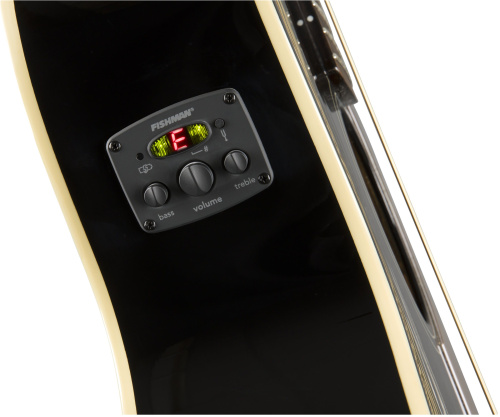 Fender Newporter Player JTB фото 2