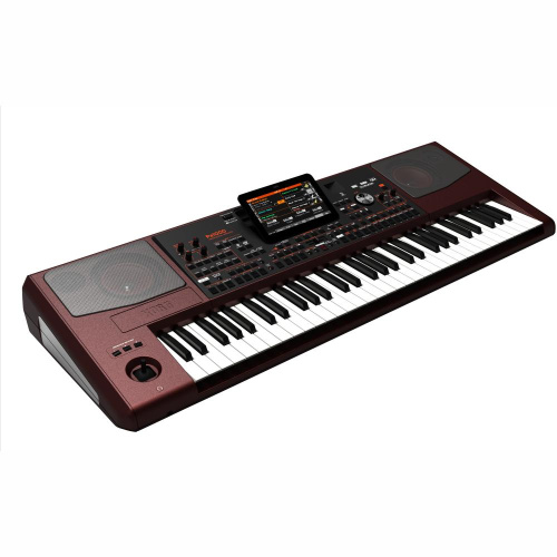 KORG Pa1000 фото 3