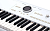 Arturia Astrolab White