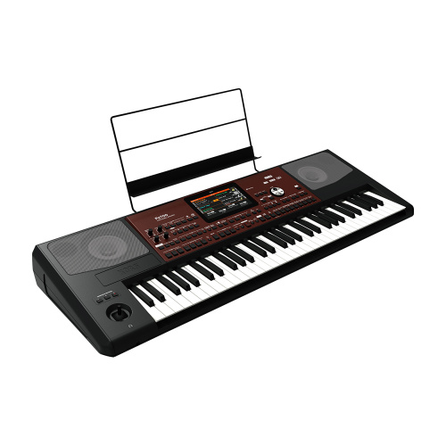 KORG Pa700 фото 3