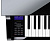 Casio GP-510BP