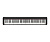 Casio CDP-S150