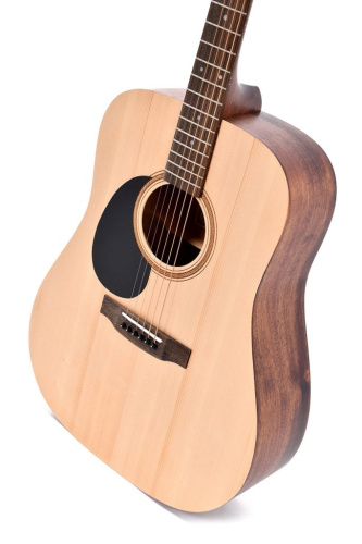 Ditson D-10 фото 4