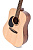 Ditson D-10