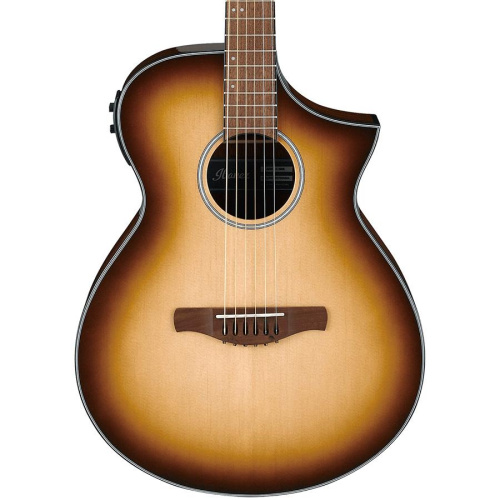 Ibanez AEWC11-NNB фото 2