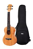 Enya EUC-25D
