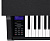 Casio GP-310BK