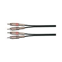 Soundking BB404/2M