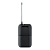 Shure BLX188E/SM31-M17