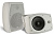 CVGaudio ODF608TW
