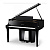 Kawai NV12 EP