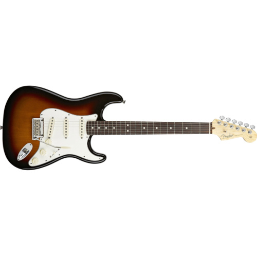 Fender Standard Stratocaster RW