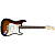 Fender Standard Stratocaster RW