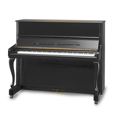 Samick JS121FD EBHP
