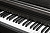 Kurzweil CUP E1 BK