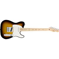 Fender Standard Telecaster MN