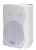 SVS Audiotechnik WS-40 / Белый