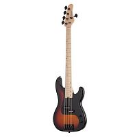 Schecter P-5 3TSB