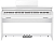 Casio AP-S450WE