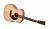 Ditson G-10