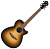 Ibanez AEG50-DHH