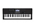 Casio CT-X800